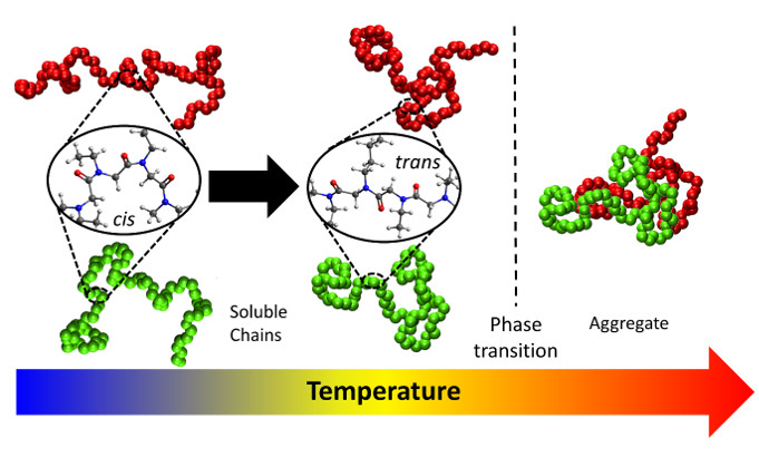 Mechanism of phase transition