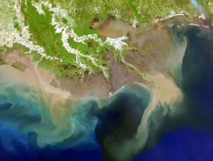 MODIS Image of Mississippi River Deltaic Plain