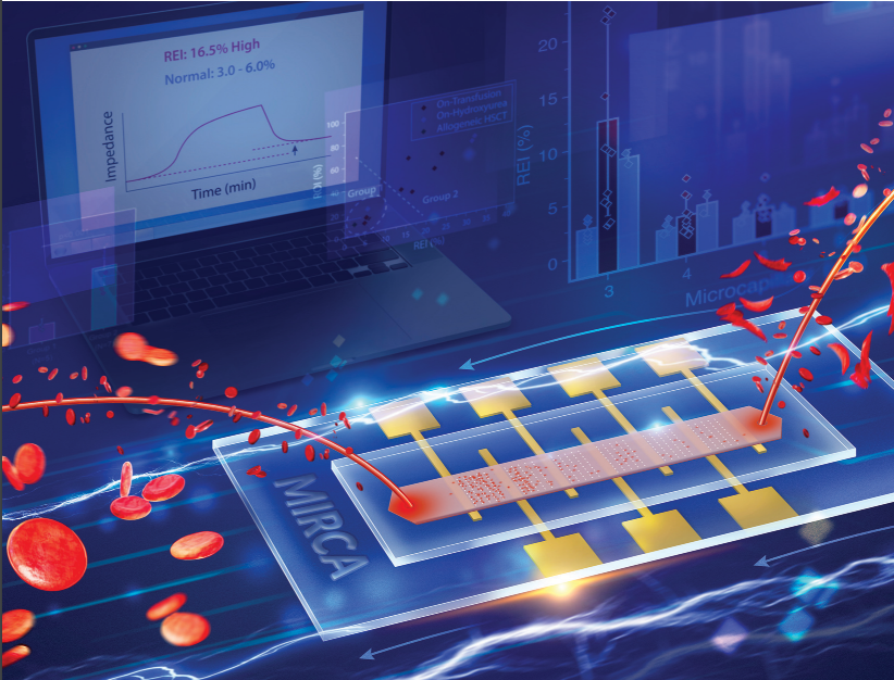 Microbiological Risk of Contamination Assessment tool (MIRCA)