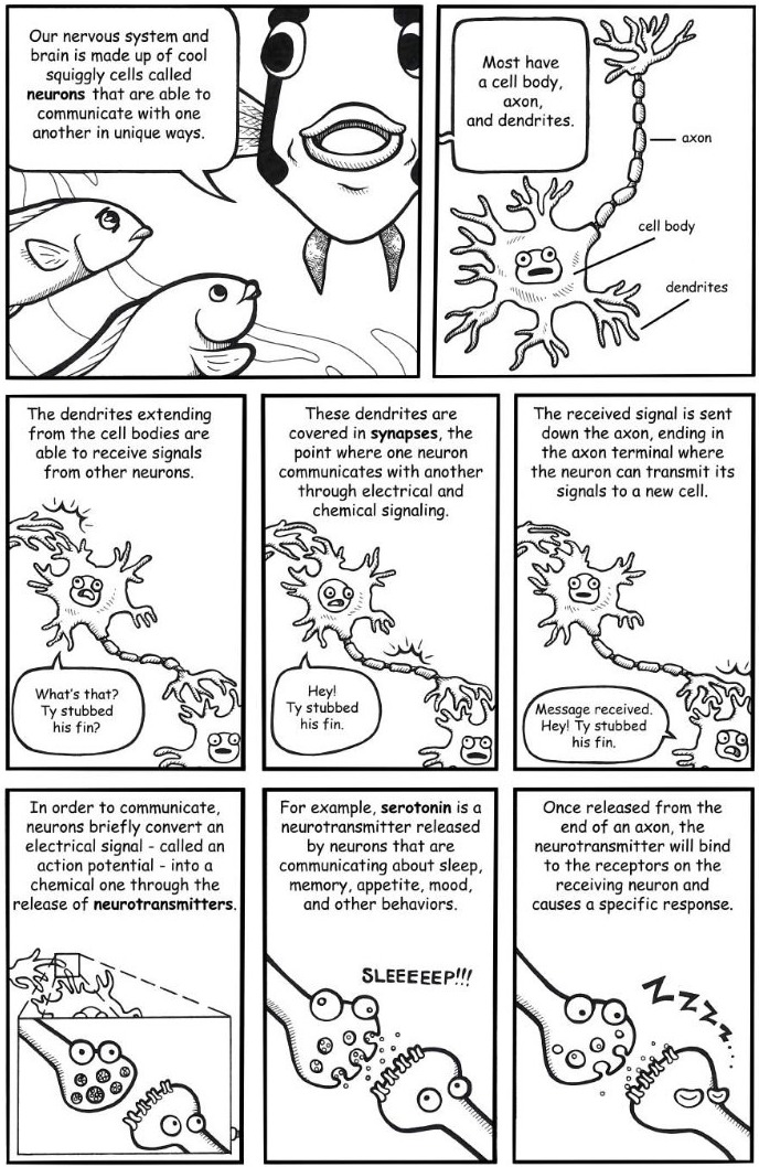 Fin-Tastic Fish Science comic page