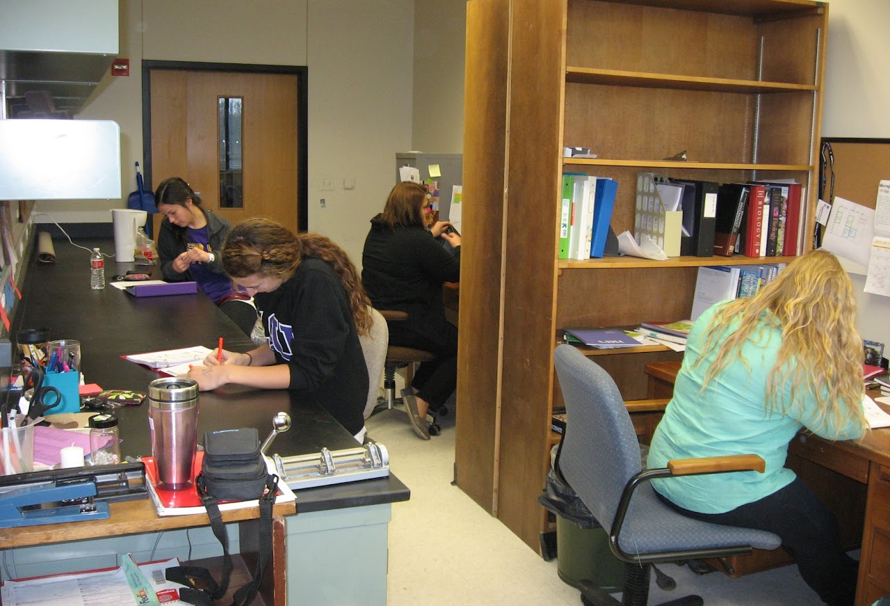 Undergraduates doing lab work