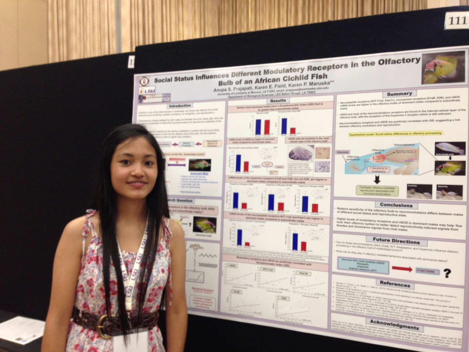 Anupa presents her summer research at the annual 2013 SURF poster session at LSU