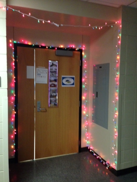 lab door with holiday lights around it