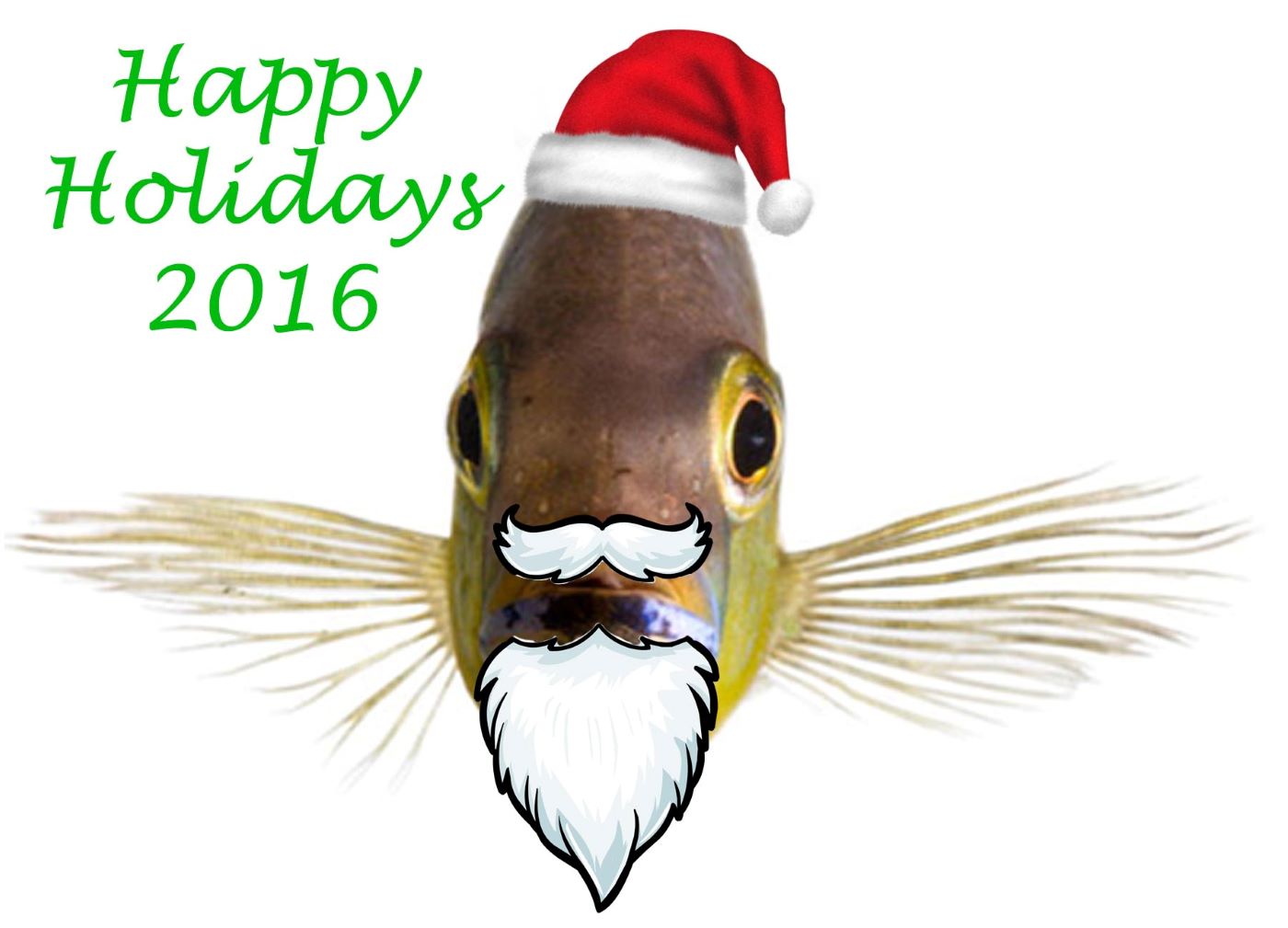 Fish happy holidays 2016 image