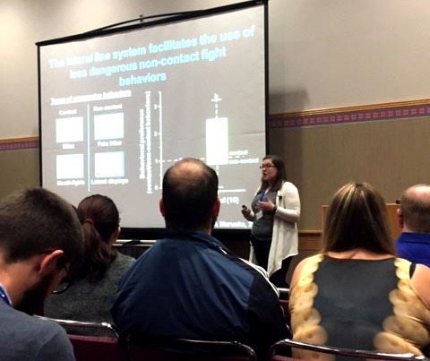 Julie giving her research talk at the 2016 SICB meeting in Portland, Oregon