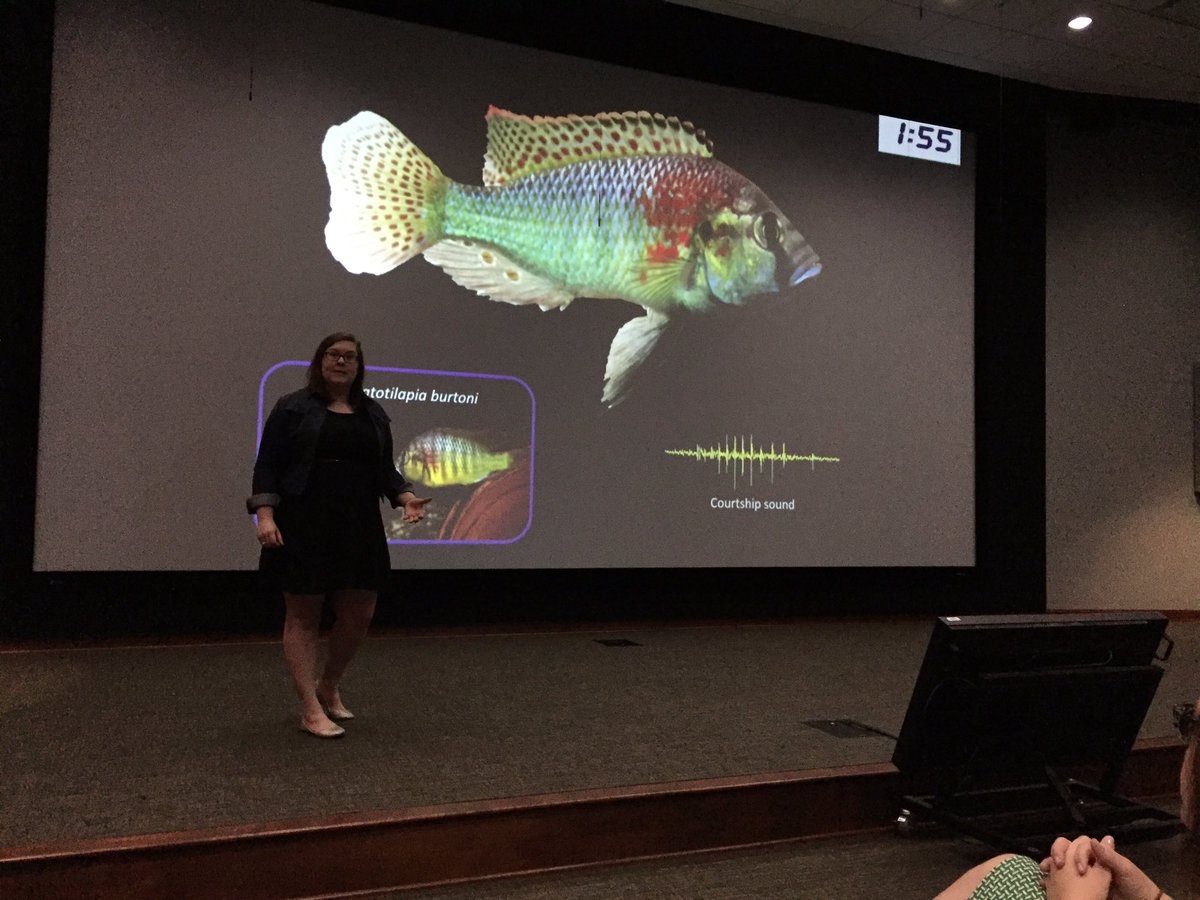 Julie competes in the 3 min thesis competition held at LSU and wins 1st place for her talk on the impacts of anthropogenic noise on fish behavior, physiology, and communication!