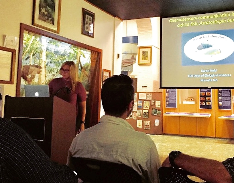 Karen F. gives a great talk on fish  chemosensory communication at the  LSU Museum Seminar Series!
