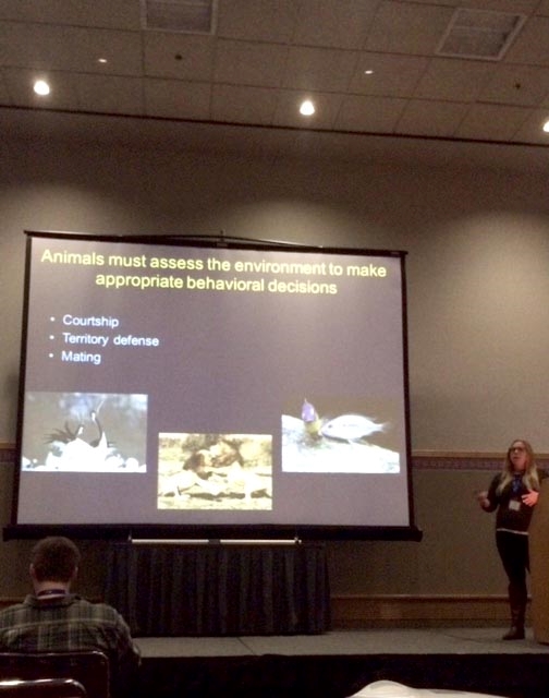 Karen Jr. giving her research talk at the 2016 SICB meeting in Portland, Oregon.