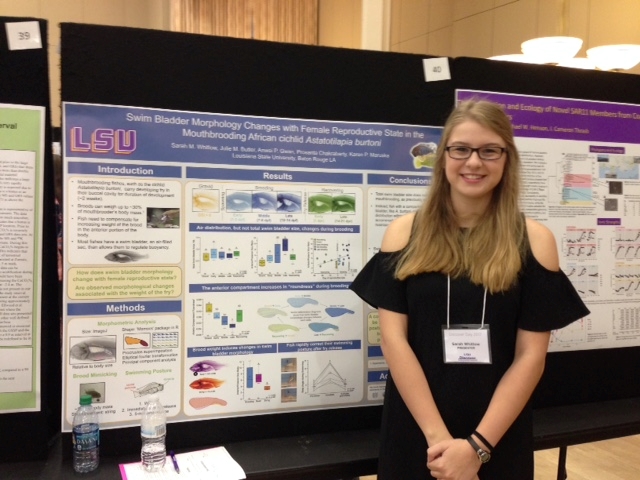 Sarah presenting her work at the 2017 LSU Discover Day undergraduate research symposium