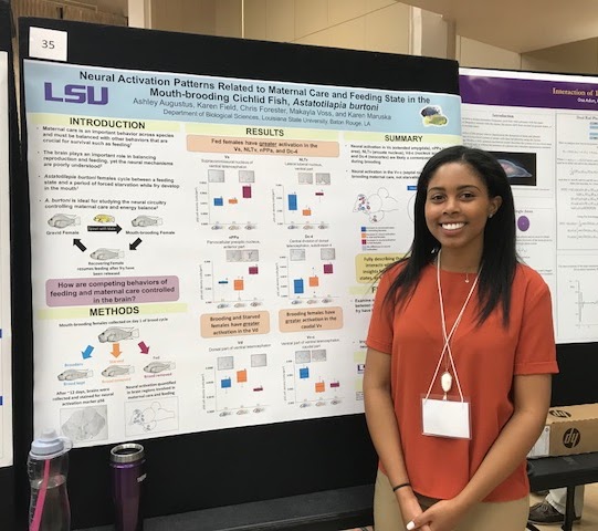 Ashley presents a poster at 2018 LSU Discover Day Symposium