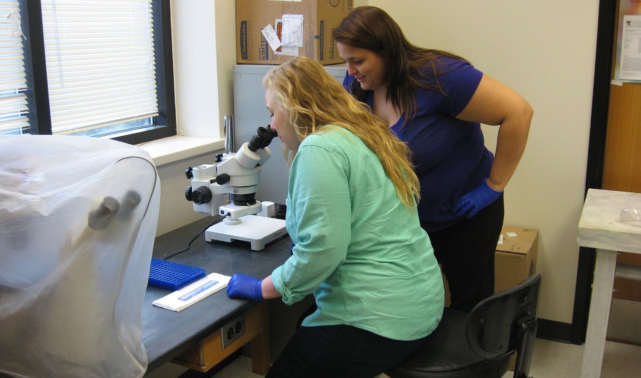 People looking into a microscope