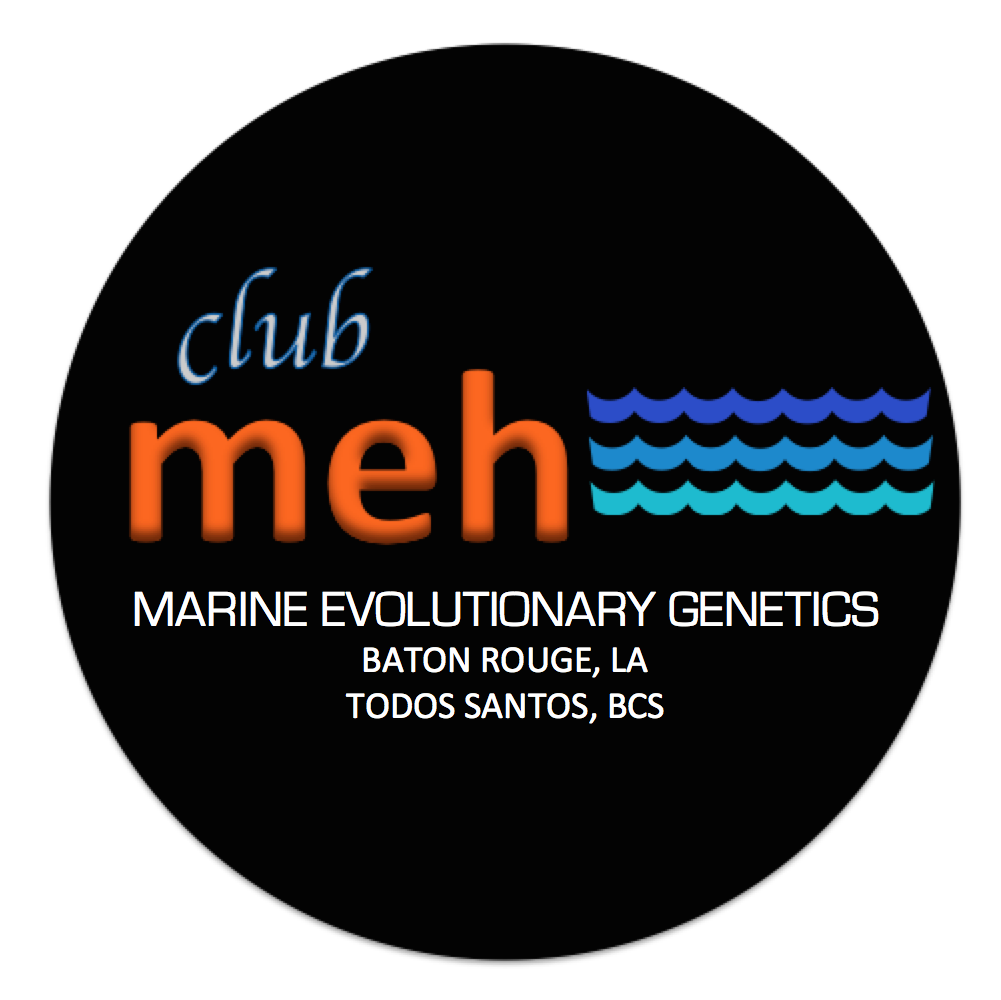Club MEH logo