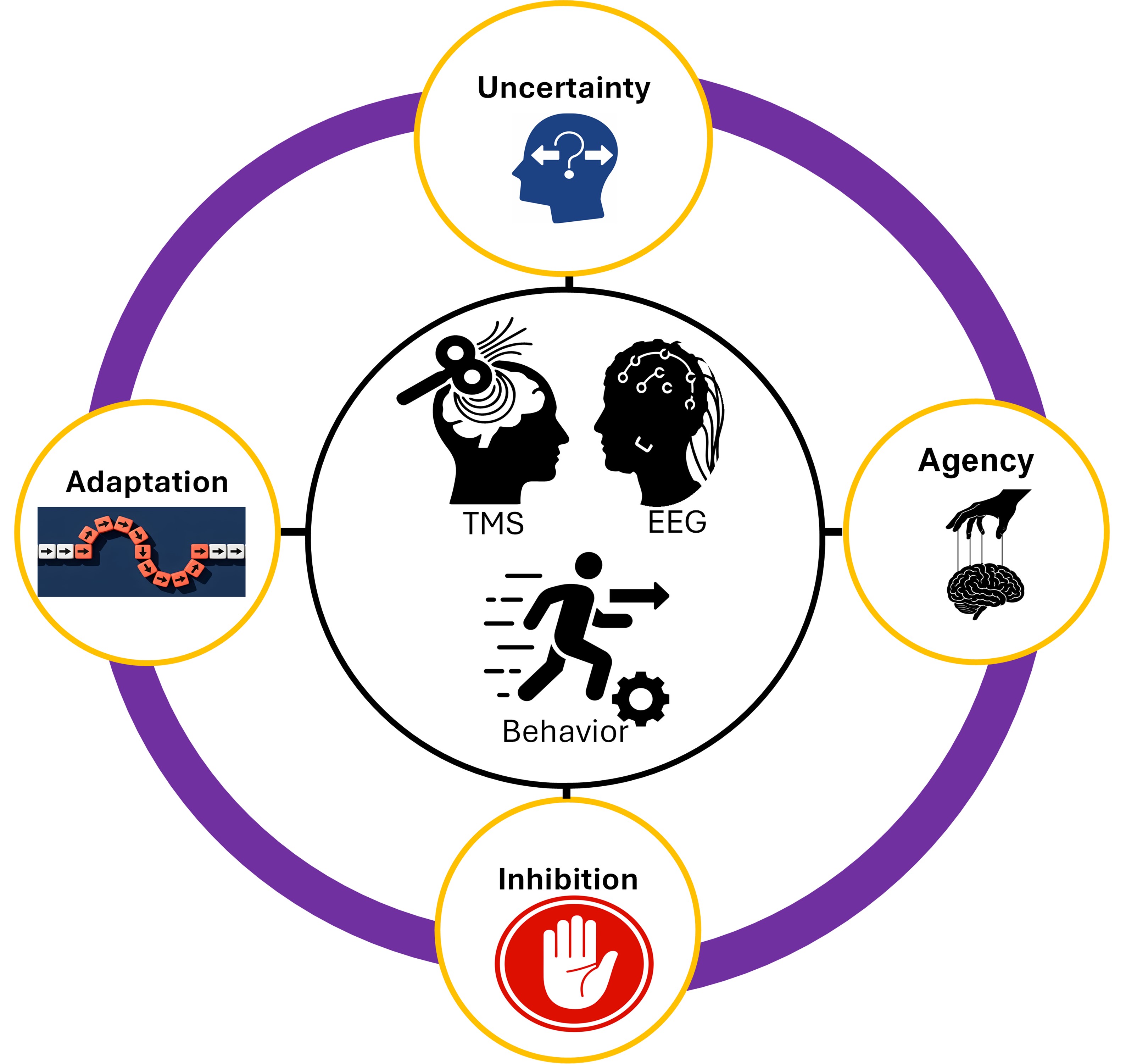 a circle with topics the lab researches (uncertainity, agency, adaptation, inhibition) with another circle inside with the lab techniquies (TMS, EEG, Behavior)