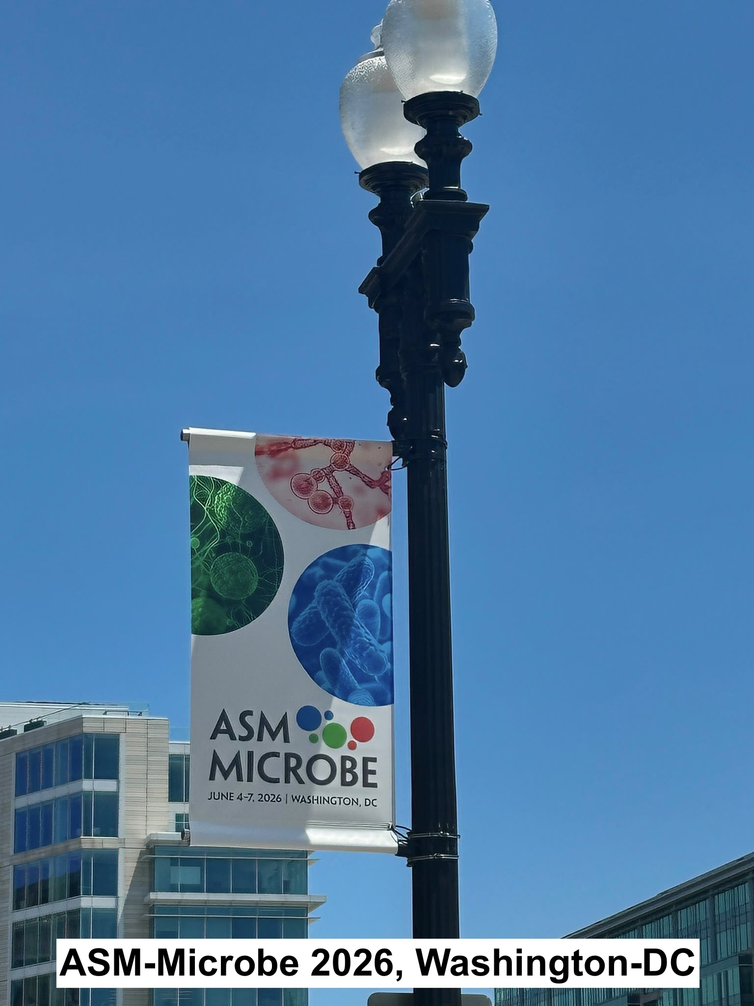 Conference sign on a pole