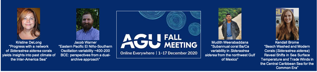 AGU meeting flyer - details follow image