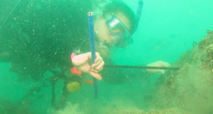 Dr. Delong coring a tree in the Gulf of Mexico