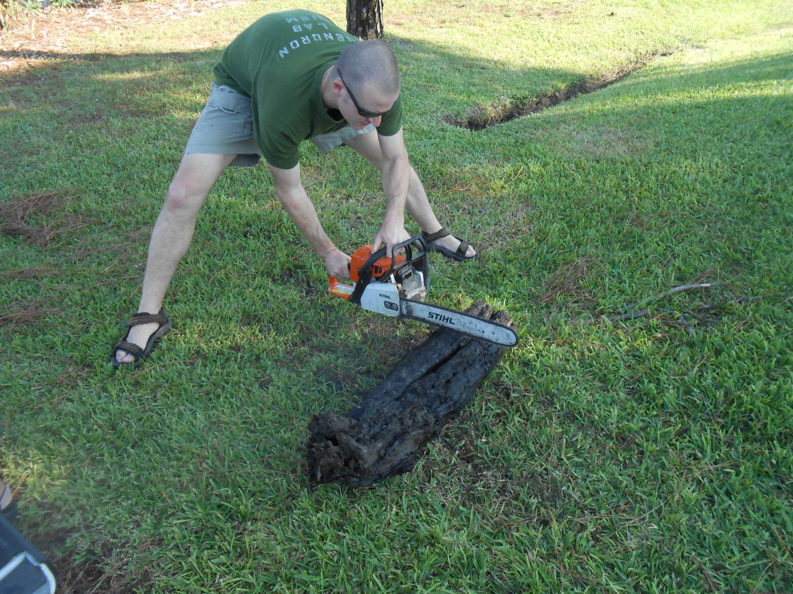 Cutting wood