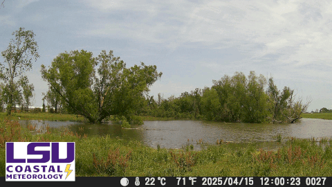 ms river crest
