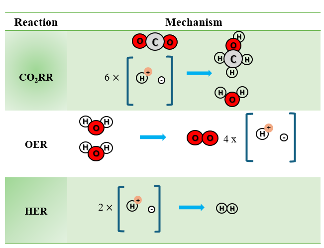 Mechanism reactions