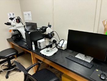 Microscopy