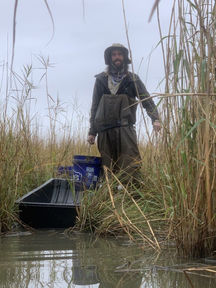 Man in a hat and waders carries a bucket in a wetland with tall river canes