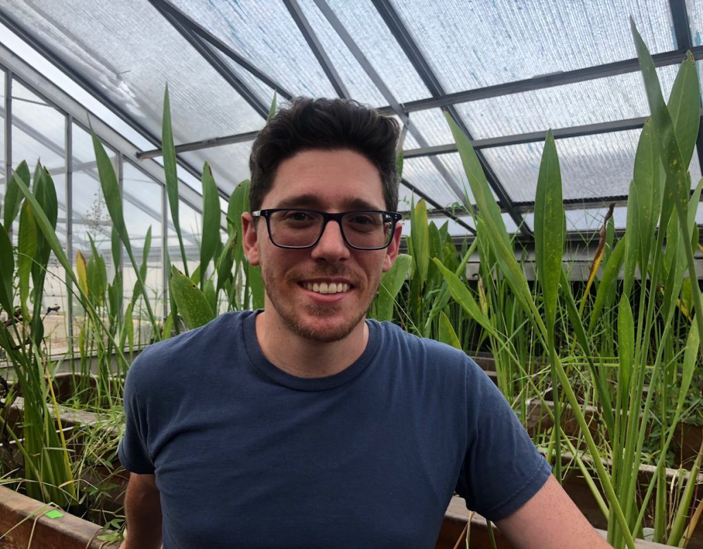 Man with brown hair and glasses stands in a greenhouse with wetland plants