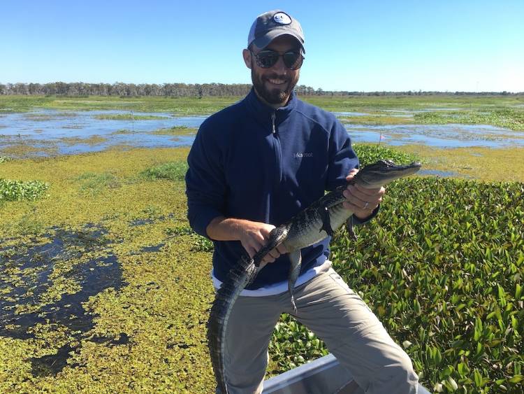 Man holding an alligator in a marsh.
