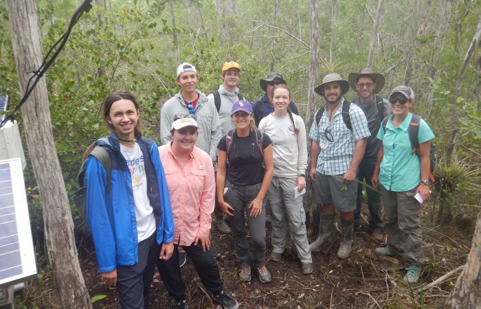 Students on a field trip in a swamp.