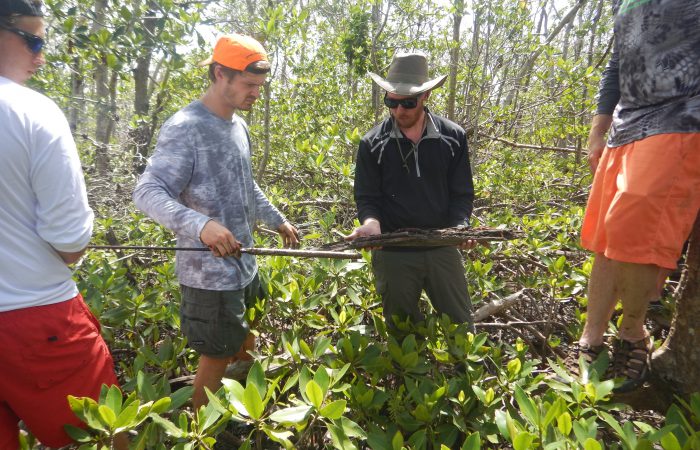 students in a forest carrying sticks