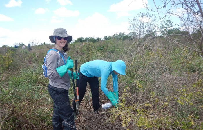 students dressed in ecological field gear taking samples in a wetland.