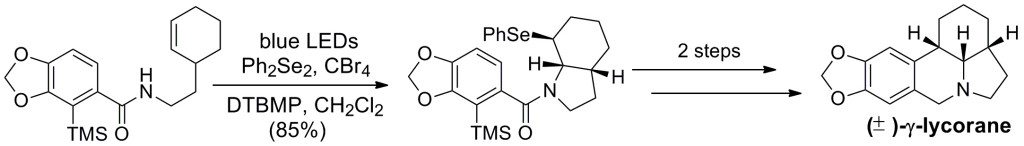 photo of synthesis of the alkaloid γ-lycorane