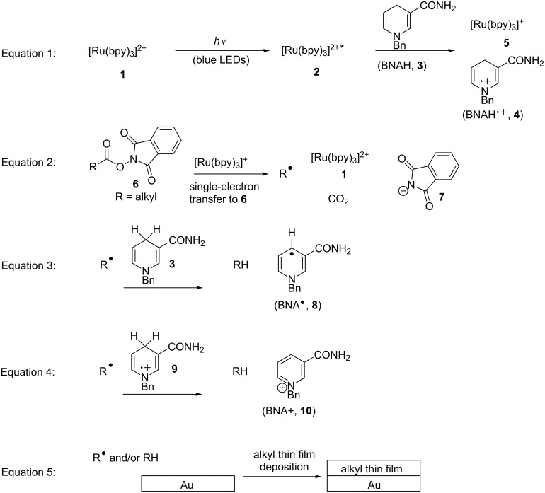 equations of Visible-light irradiation of phthalimide esters in the presence of the photosensitizer [Ru(bpy)3]2+ and the stoichiometric reducing agent benzyl nicotinamide results in the formation of alkyl radicals under mild conditions