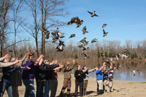 A group of students releasing ducks into the air