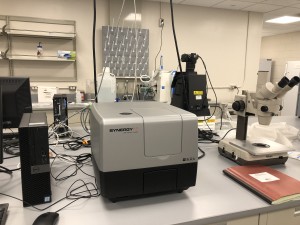 Synergy microplate reader