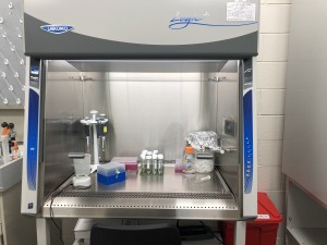 Labconco Purifier Biosafety Cabinet