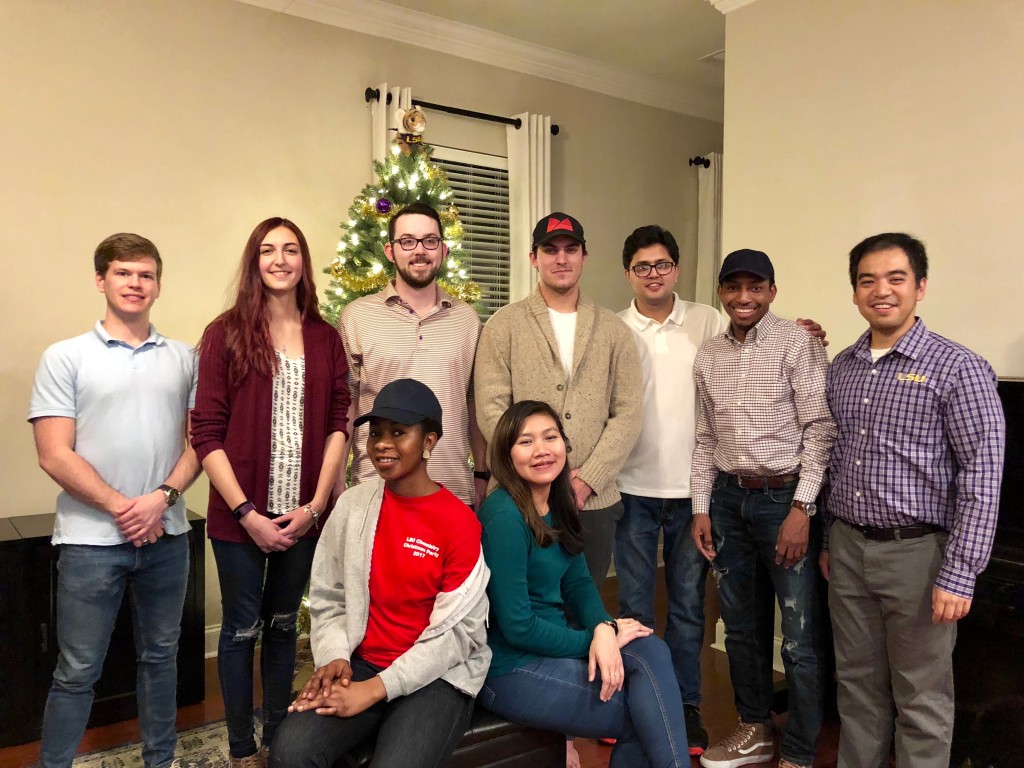 Kartika Research Group in front of Christmas tree