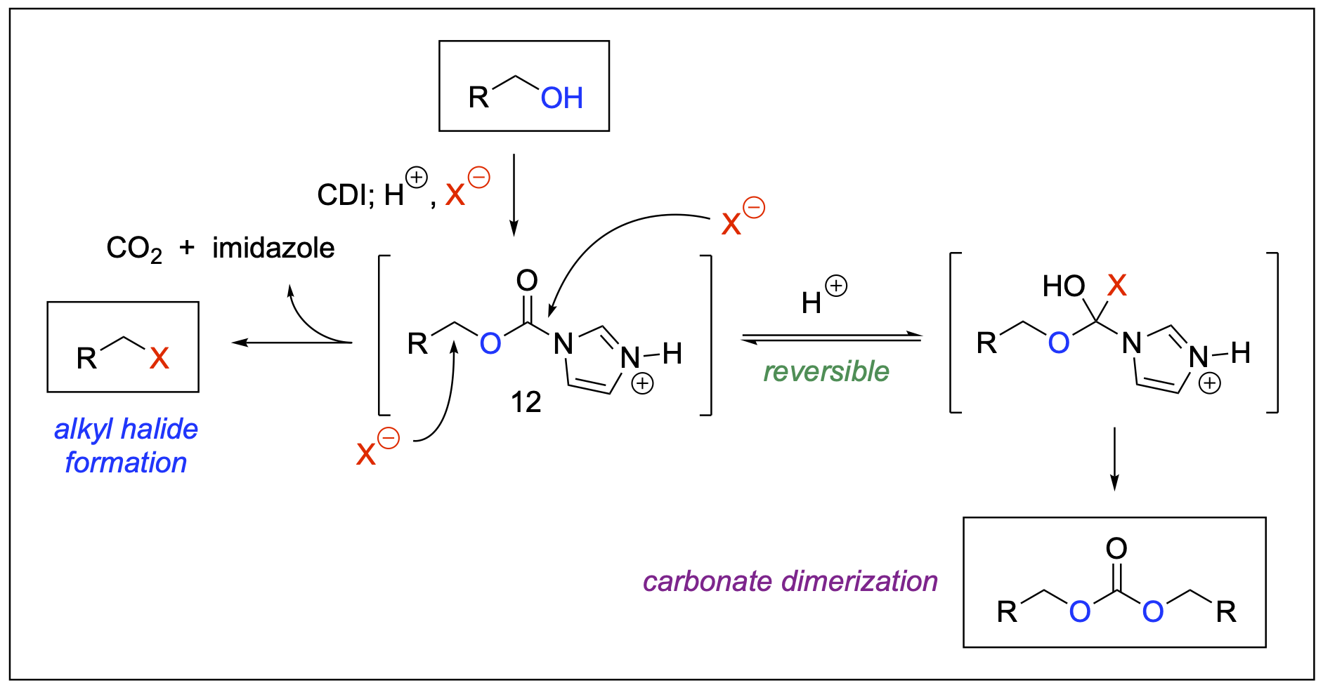 a reaction scheme to represent mechanistic insights into brønsted acid-induced nucleophilic substitution of aliphatic imidazole carbamate with halide ions