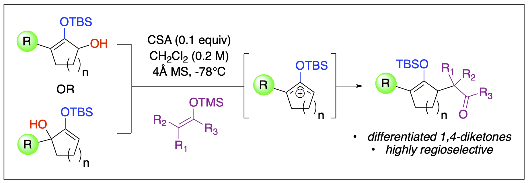 a reaction scheme to represent an expedient synthesis of functionalized 1,4-diketone-derived  compounds via silyloxyallyl cation intermediates