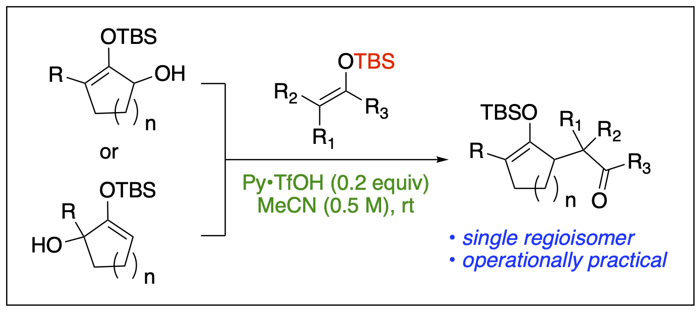 a reaction scheme to represent brønsted acid catalyzed synthesis of functionalized 1,4- and 1,6-dicarbonyl monosilylenol ethers under operationally practical conditions