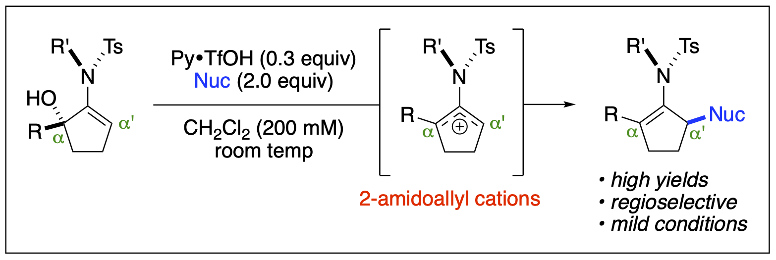 reaction scheme to represent regioselective functionalization of enamides at the alpha-carbon via unsymmetrical 2-amidoallyl cations