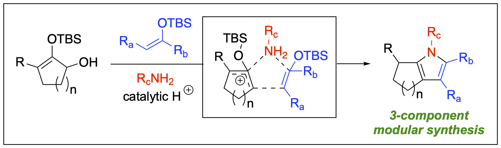 a reaction scheme to represent brønsted acid-catalyzed formal [2+2+1] annulation for the modular synthesis of tetrahydroindoles and tetrahydrocyclopenta[b]pyrroles