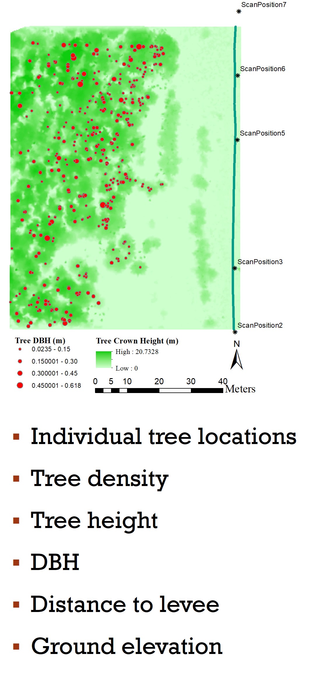 individual tree data