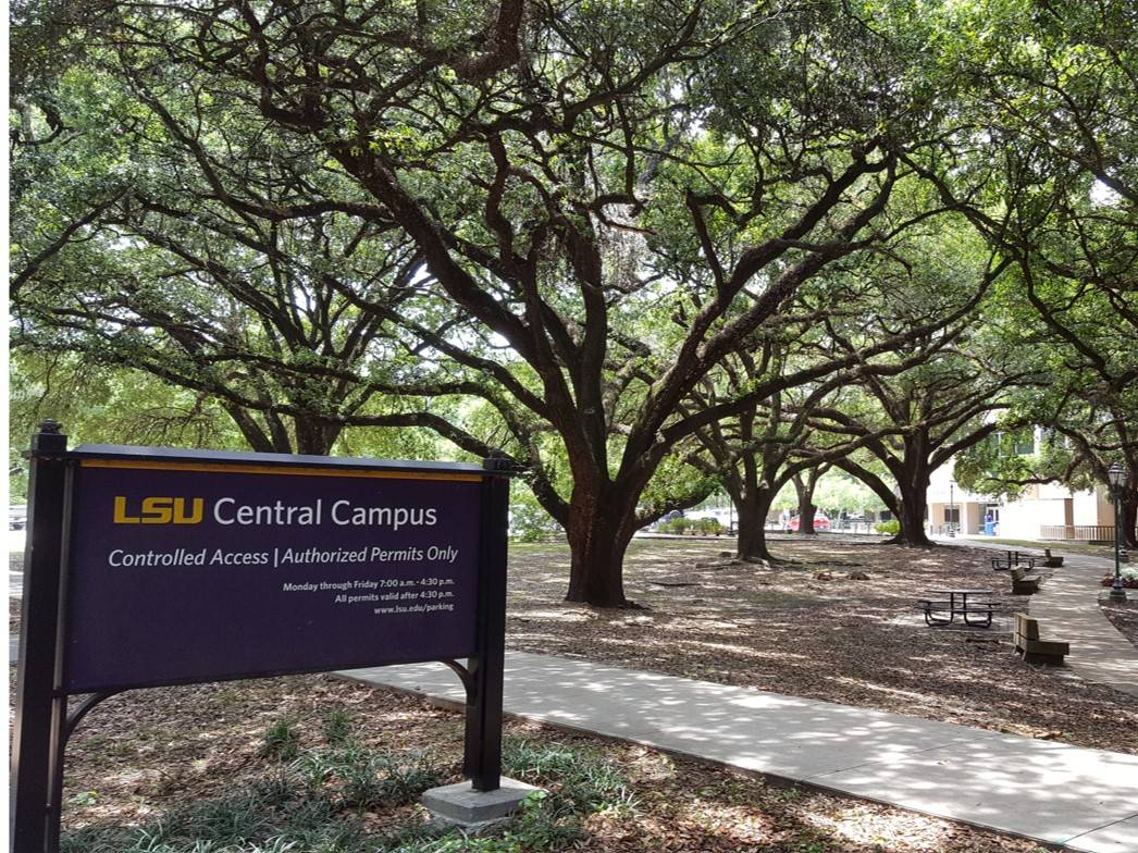 Photo of central campus