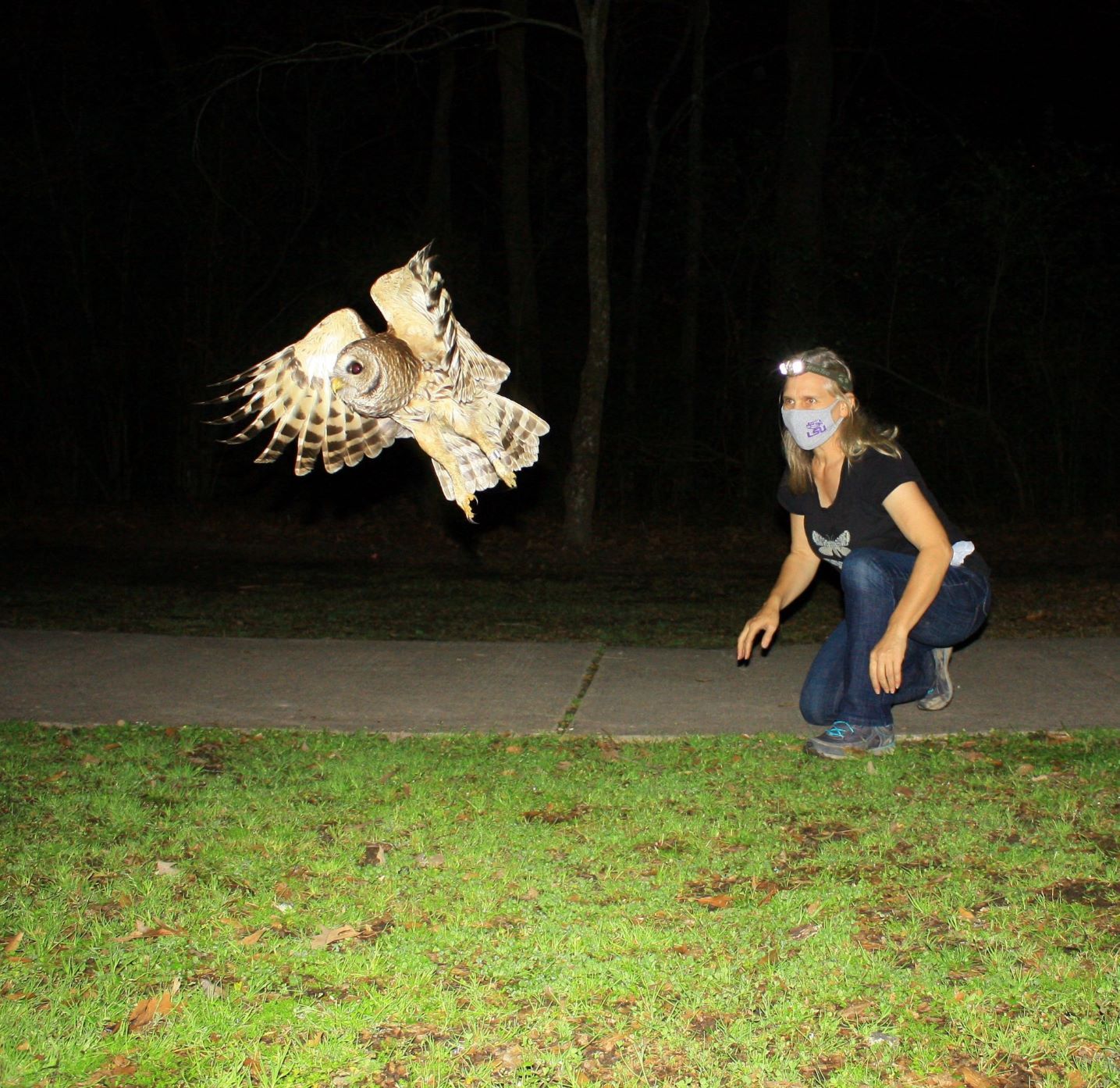 Image of Sabrina Taylor releasing a Barred Owl