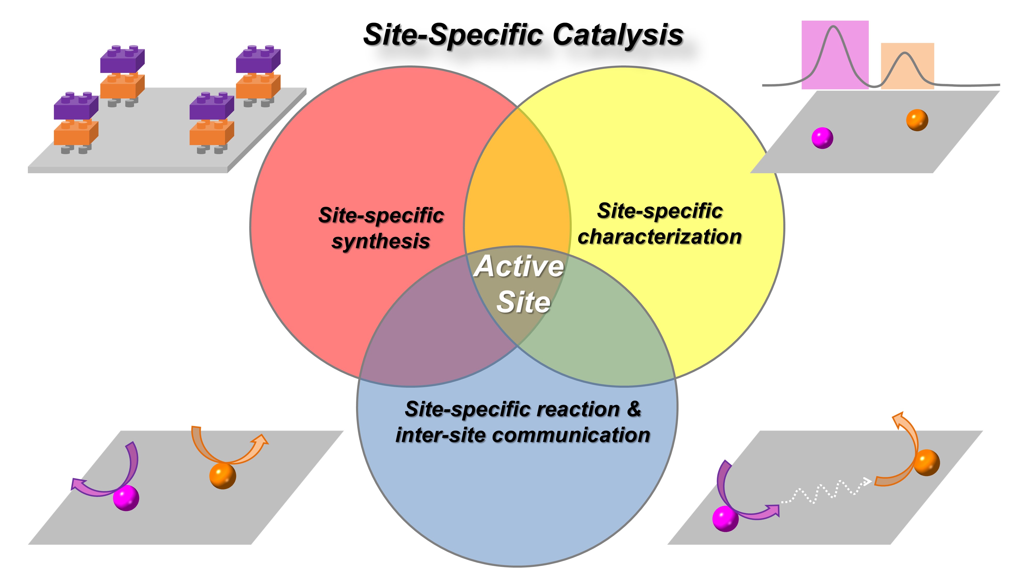 Site-specific catalysis Site-specific catalysis