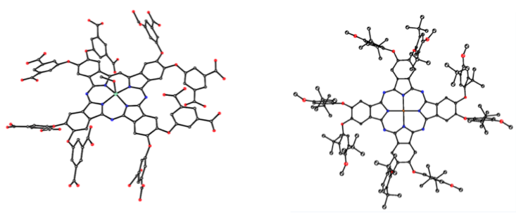 chemical structure of Near-IR photosensitizers and their conjugates