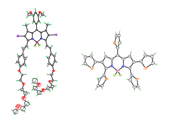 chemical structure boron dipyrromethene-based fluorophores for bioimaging