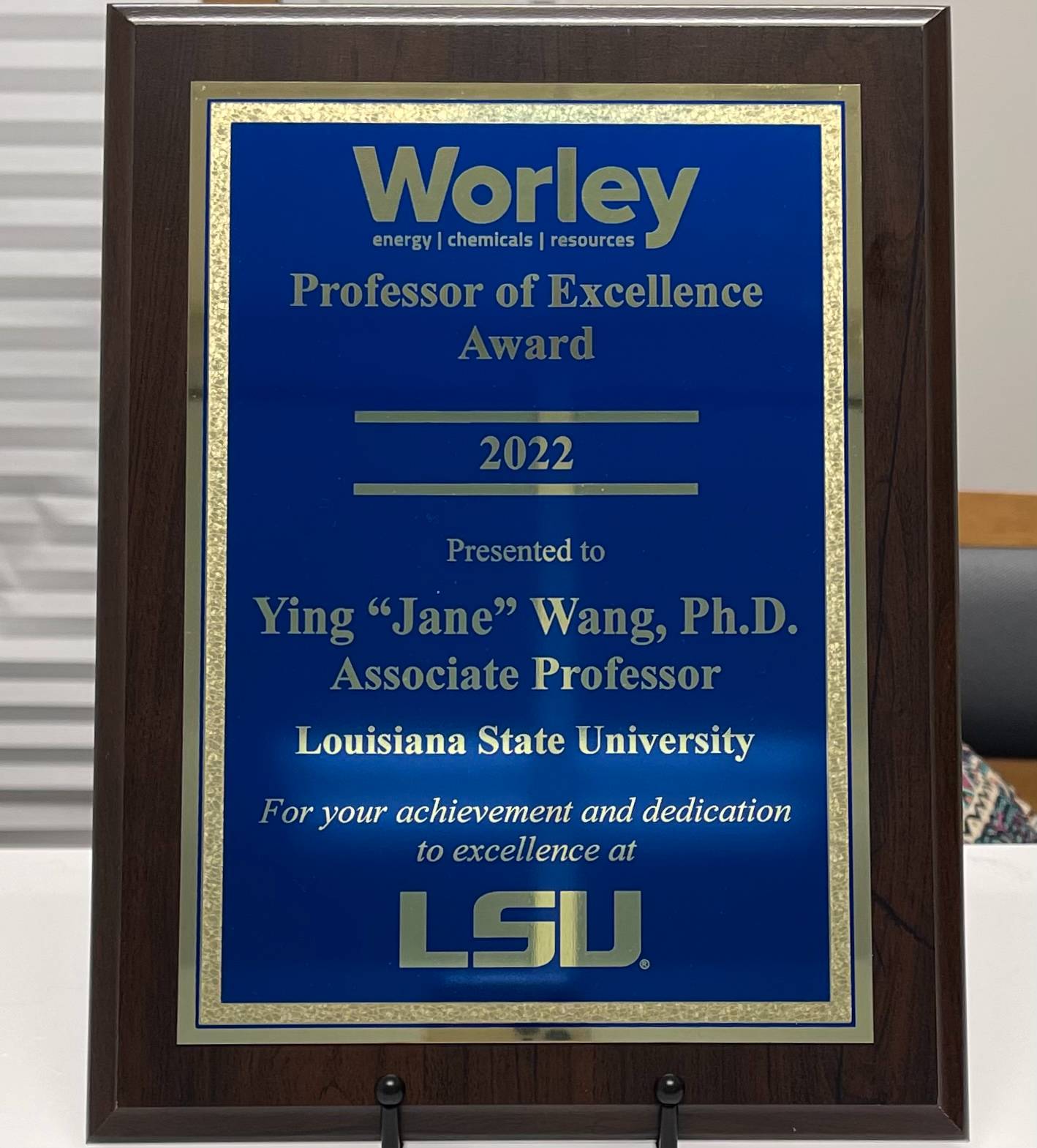 Professor of Excellence Award
