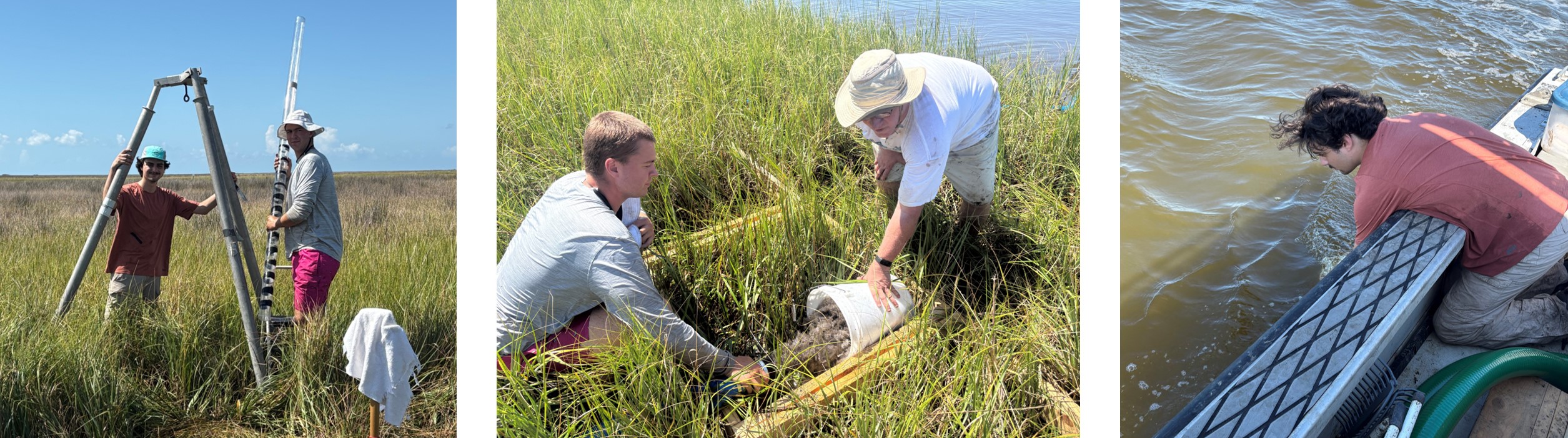 people sampling in the field