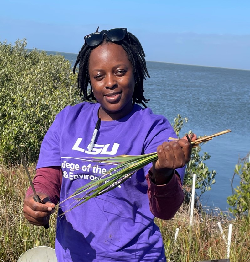 eloho in marsh holding plant